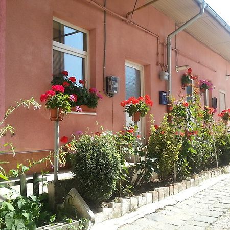 Center Park Apartment Cluj-Napoca Exterior photo